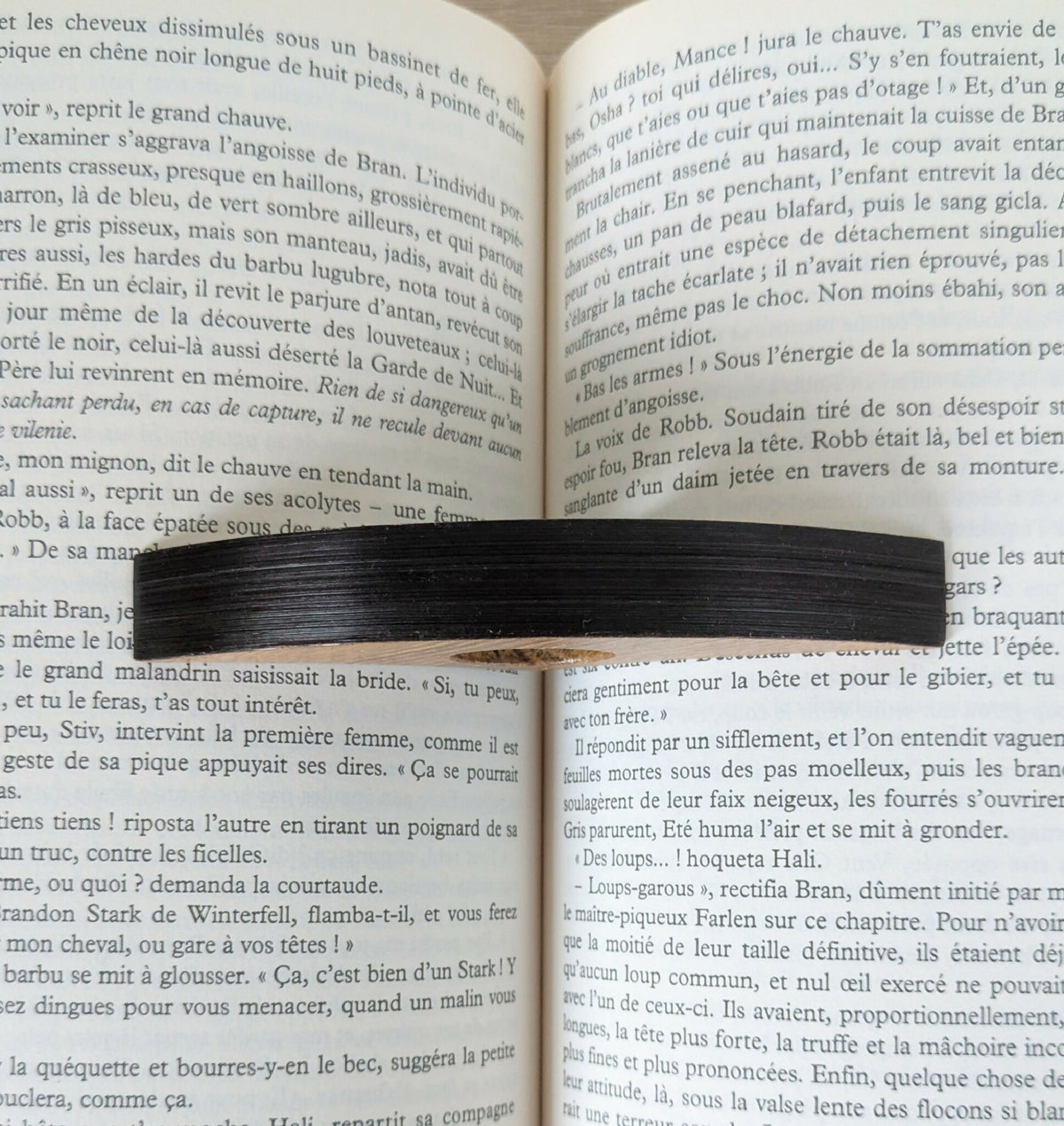 Livre ouvert avec texte imprimé en français.