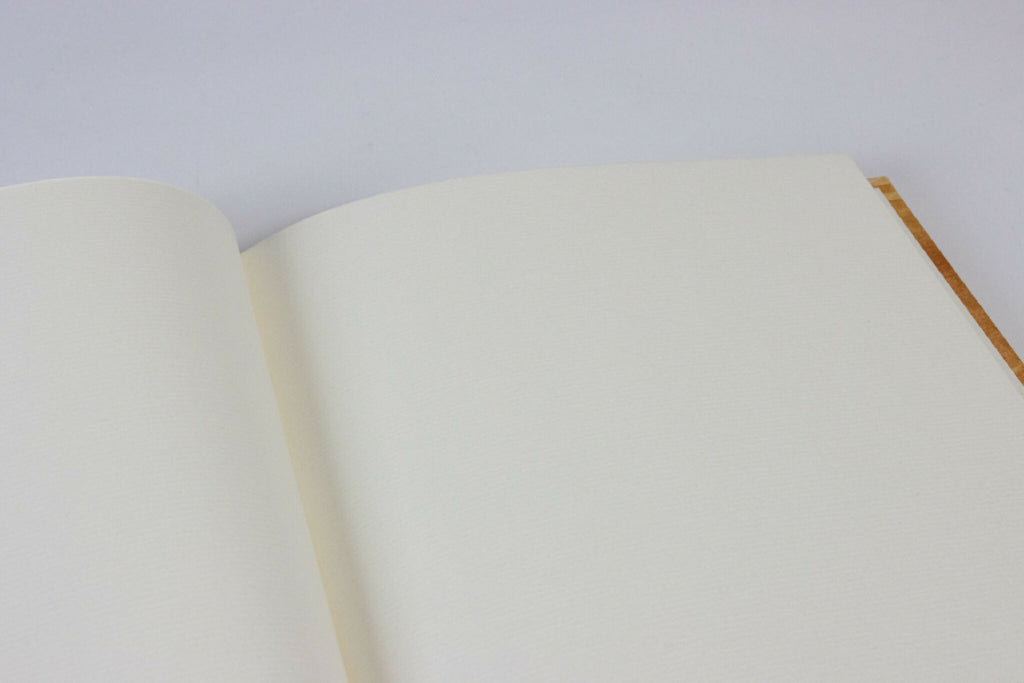 Pages blanches ouvertes dans un cahier, bords crème et tranche visible.