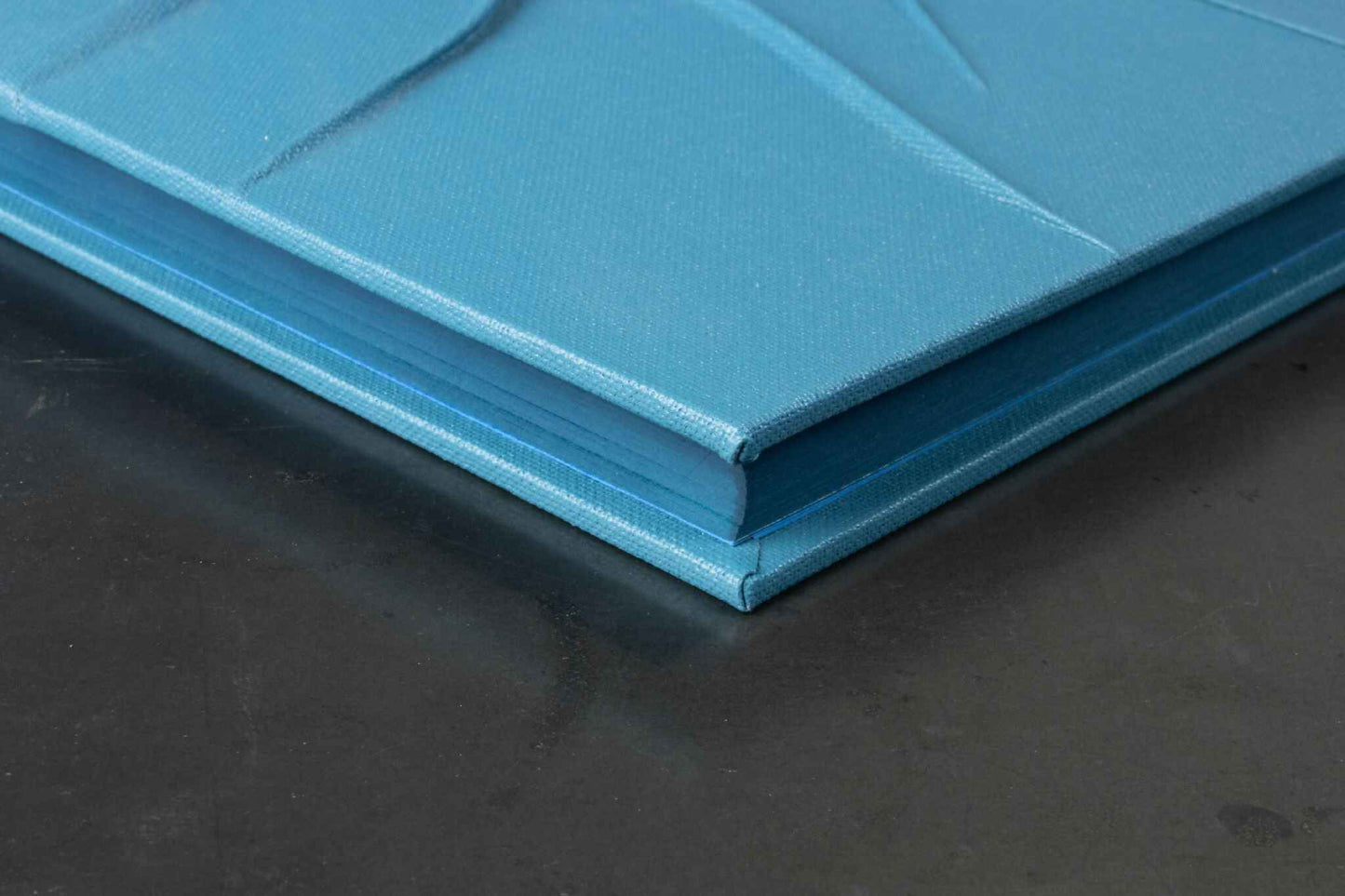 Monochrome bleu reliefs, carnet ou livre d'or
