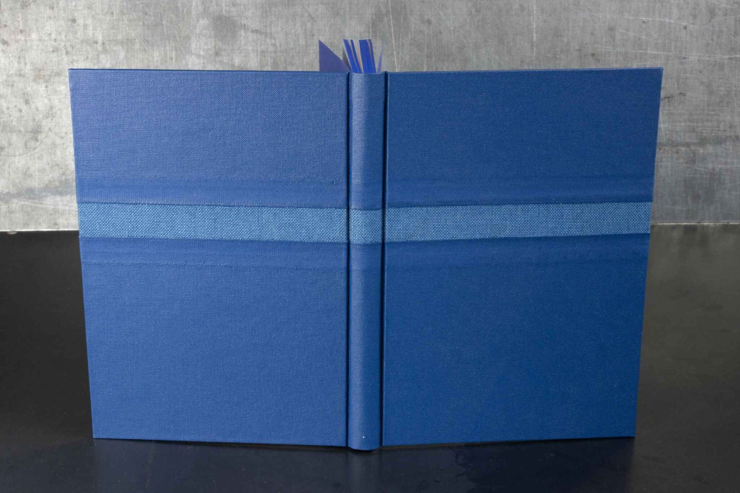 Monochrome bleu, carnet ou livre d'or