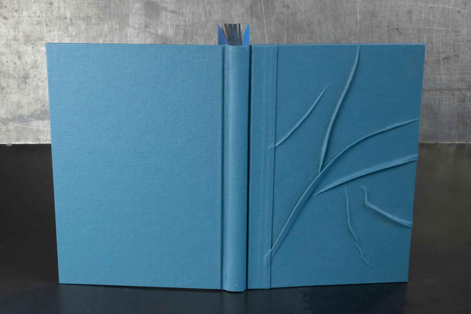 Monochrome bleu reliefs, carnet ou livre d'or