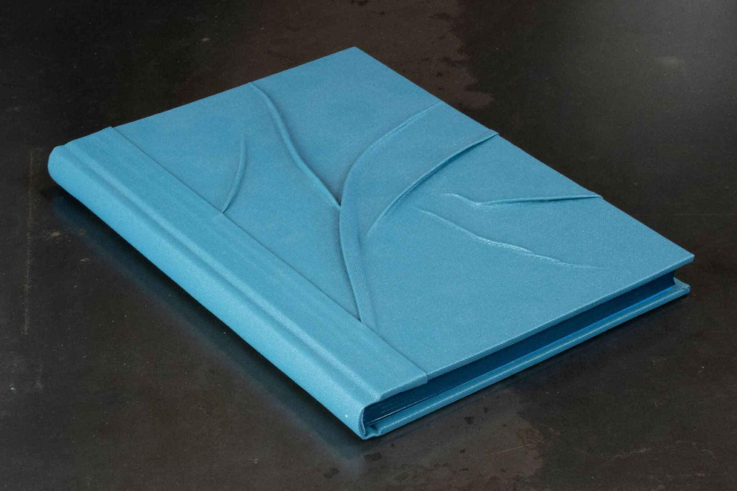 Monochrome bleu reliefs, carnet ou livre d'or