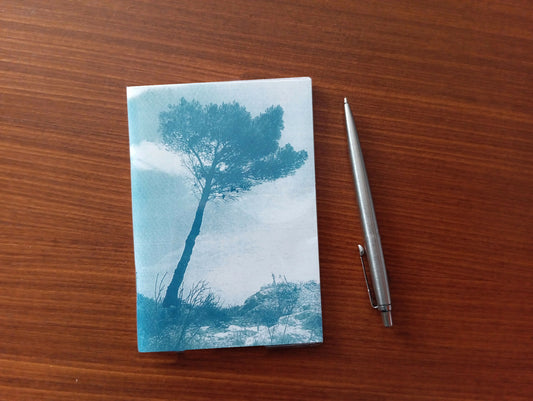 carnet cyanotype fanette bruel
