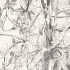 Tirage d'art numéroté et signé, détail botanique en noir et blanc.