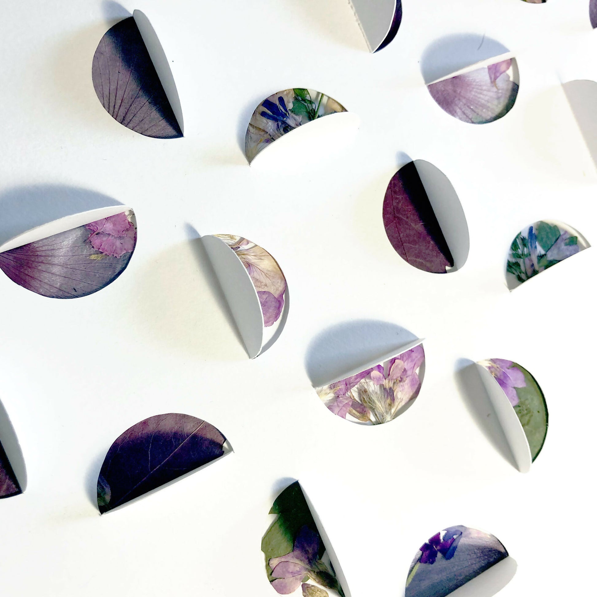 collage-fleurs-plante-sechees-herbier-moderne-