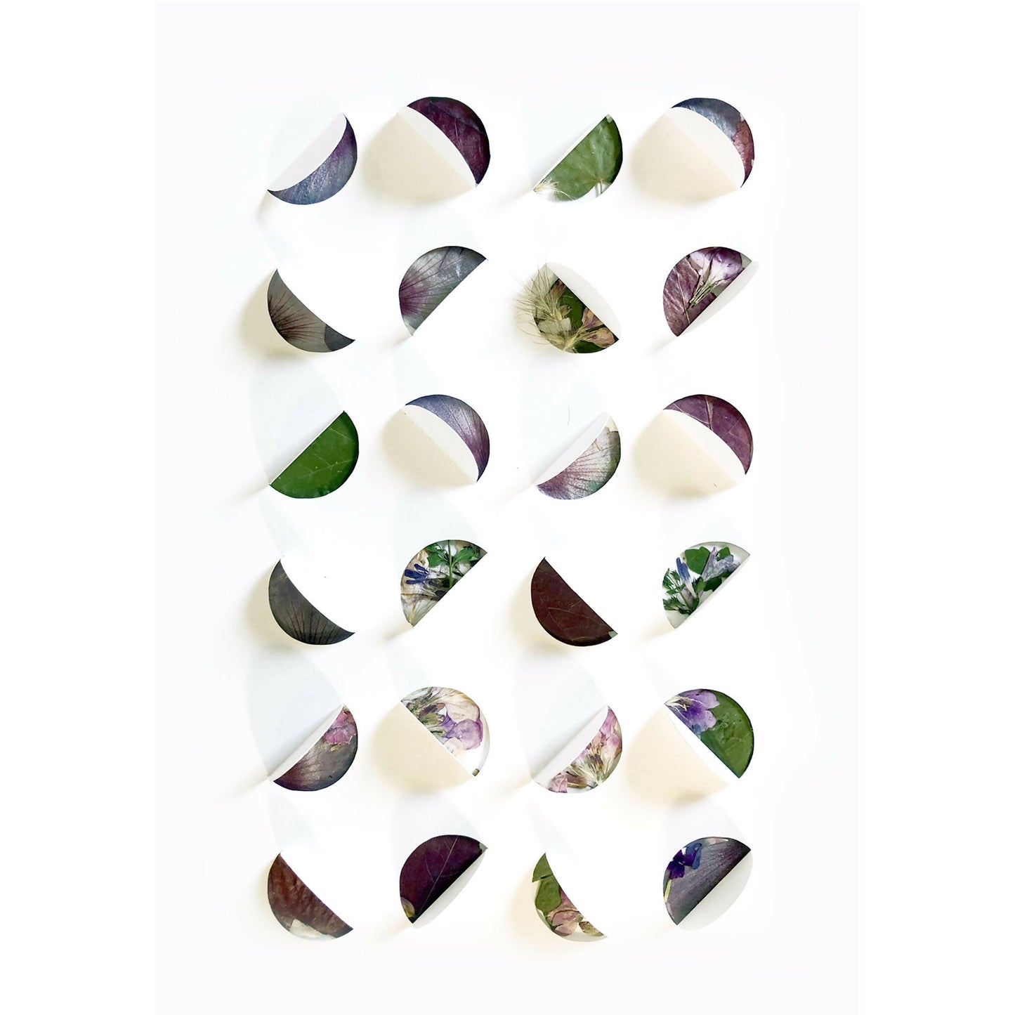 collage-fleurs-plante-sechees-herbier-moderne-