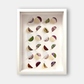 collage-fleurs-plante-sechees-herbier-moderne-