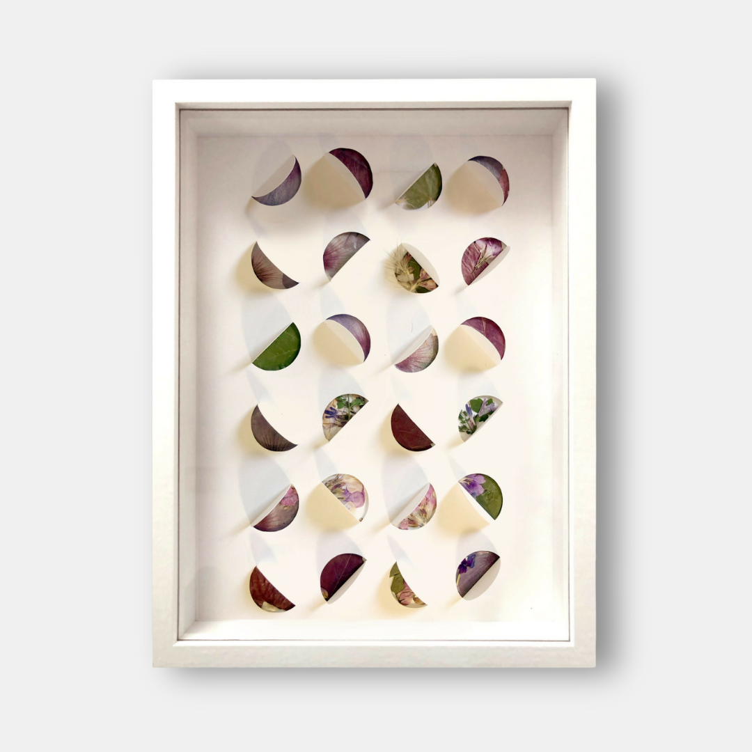 collage-fleurs-plante-sechees-herbier-moderne-