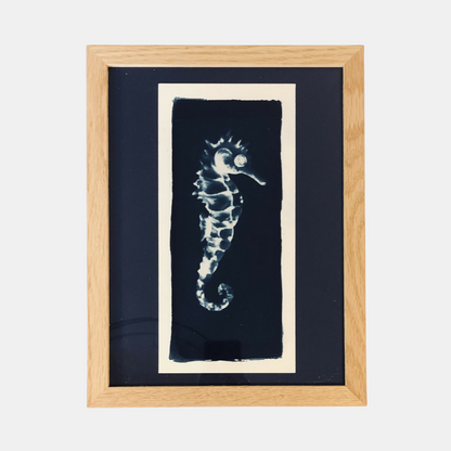 Mississippi illustration - Seahorse cyanotype