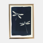 Illustration Yukon - Cyanotype libellules