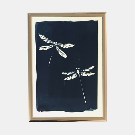 Illustration Yukon - Cyanotype libellules