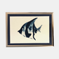 Illustration Adige - Cyanotype poisson exotique