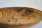 Sculpture - Nut-Burst
