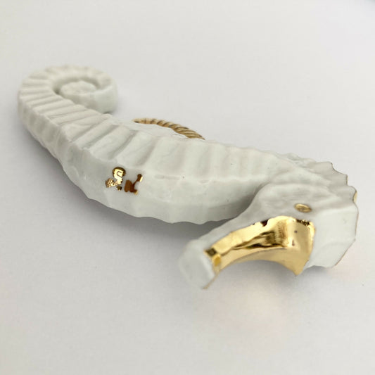 Porte couverts Hippocampe