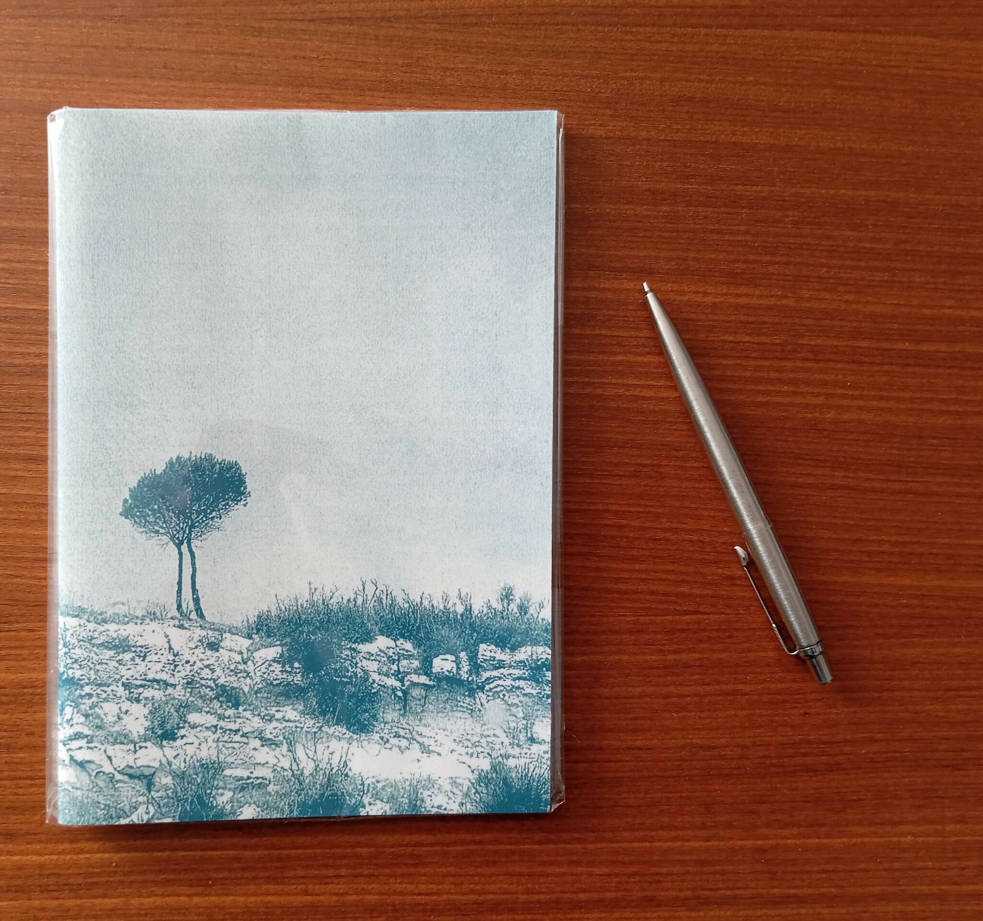 carnet cyanotype fanette bruel