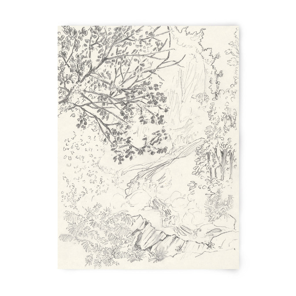 Tirage d’art numéroté en noir et blanc, feuille imprimée avec dessin de végétation.