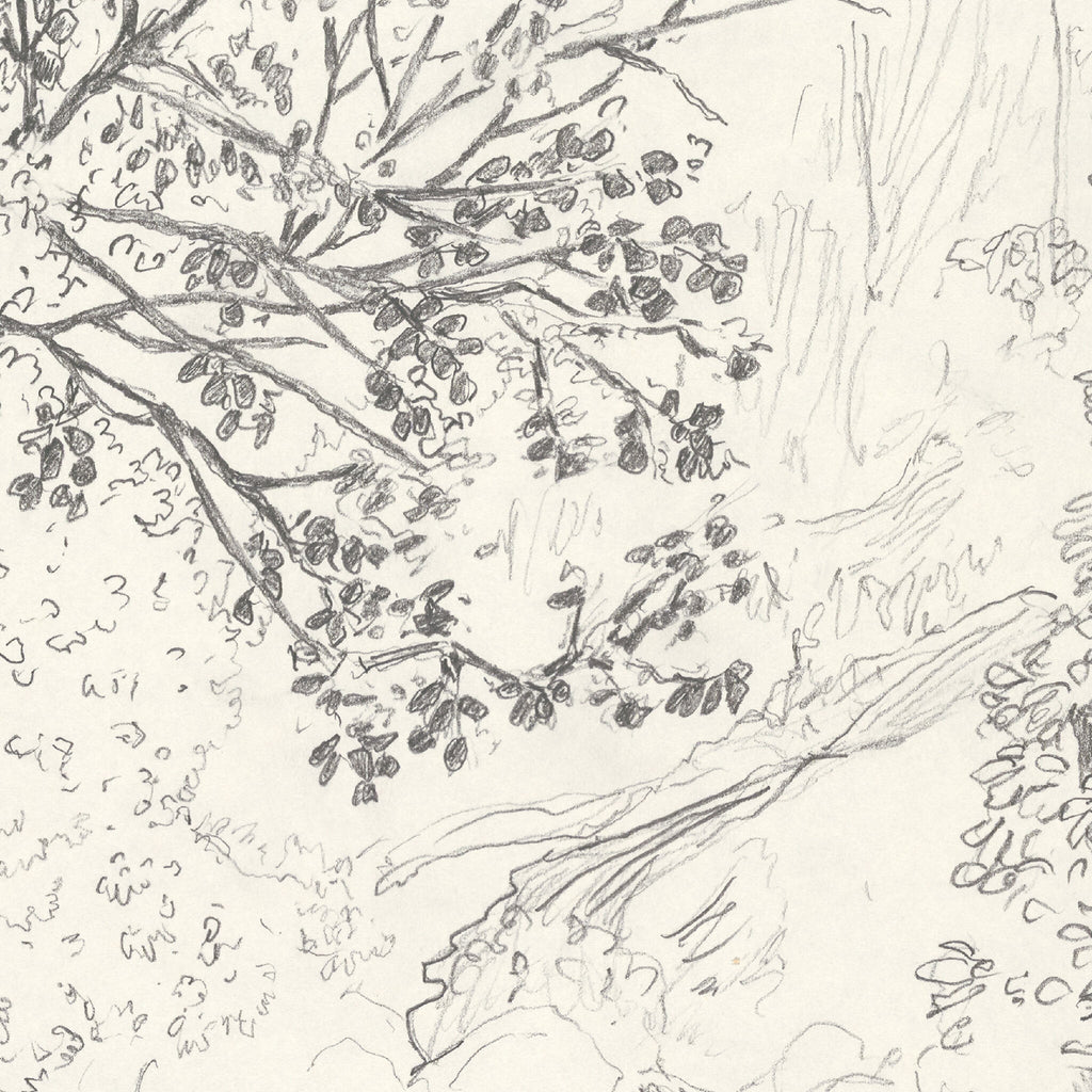 Détail d’un tirage d’art noir et blanc : branches et feuilles tracées au trait.