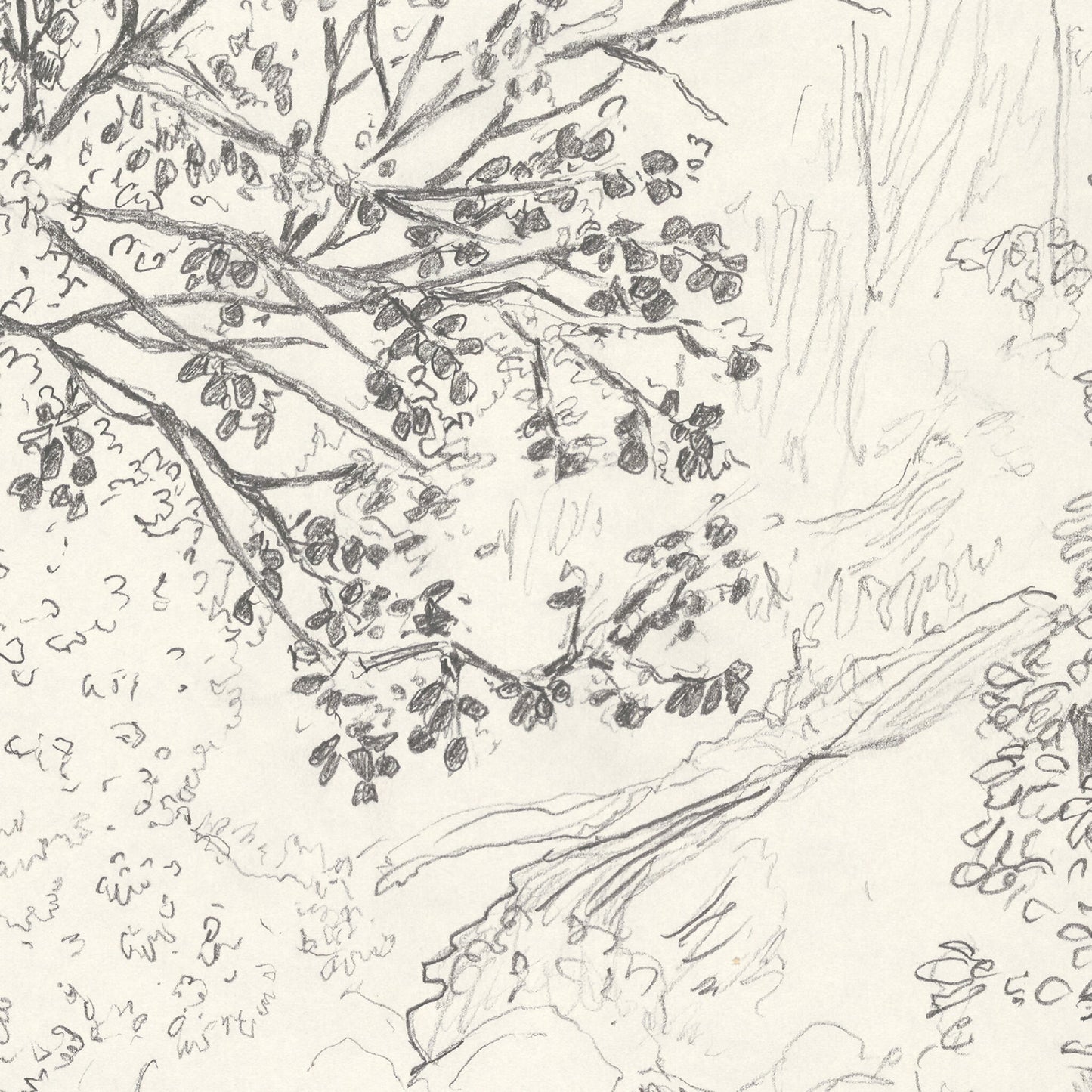 "El Rio, Cuba" - tirage d'art limité, numéroté et signé.