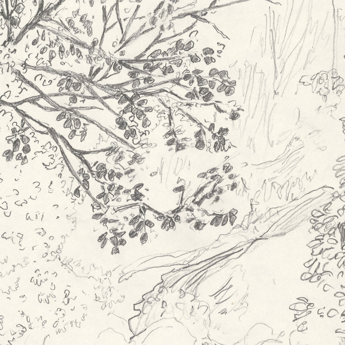 Détail d’un tirage d’art noir et blanc : branches et feuilles tracées au trait.