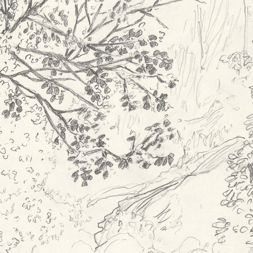 Détail d’un tirage d’art noir et blanc : branches et feuilles tracées au trait.