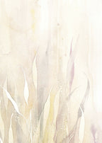 Fond clair et herbes peintes à l’aquarelle, formes blanches et beiges.
