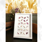 herbier-plantes-sechees-papier-artiste-francaise