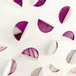 herbier-plantes-sechees-papier-artiste-francaise