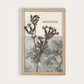 herbier contemporain - contemplations - art floral 