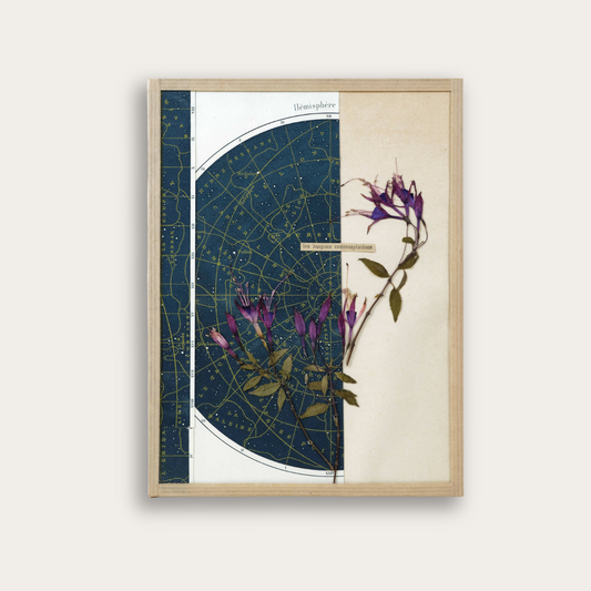 herbier contemporain - contemplations - art floral 