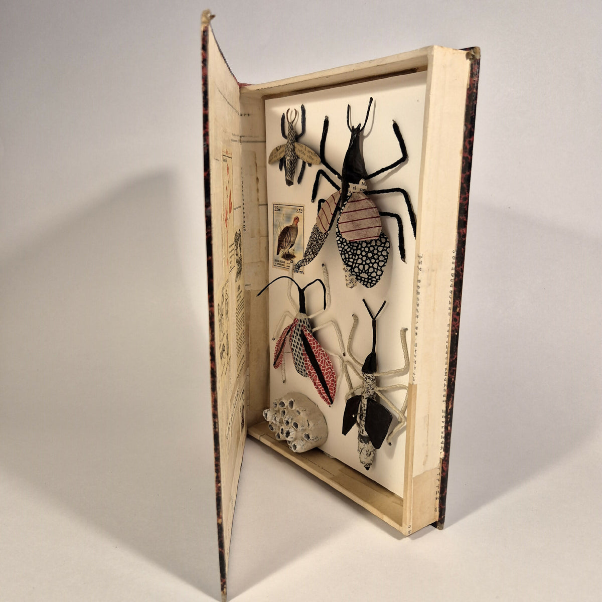 Livre de sculptures sur les insectes fermé, couverture assortie et encart de papillons