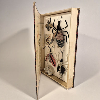 Sculpture Un livre sur les insectes
