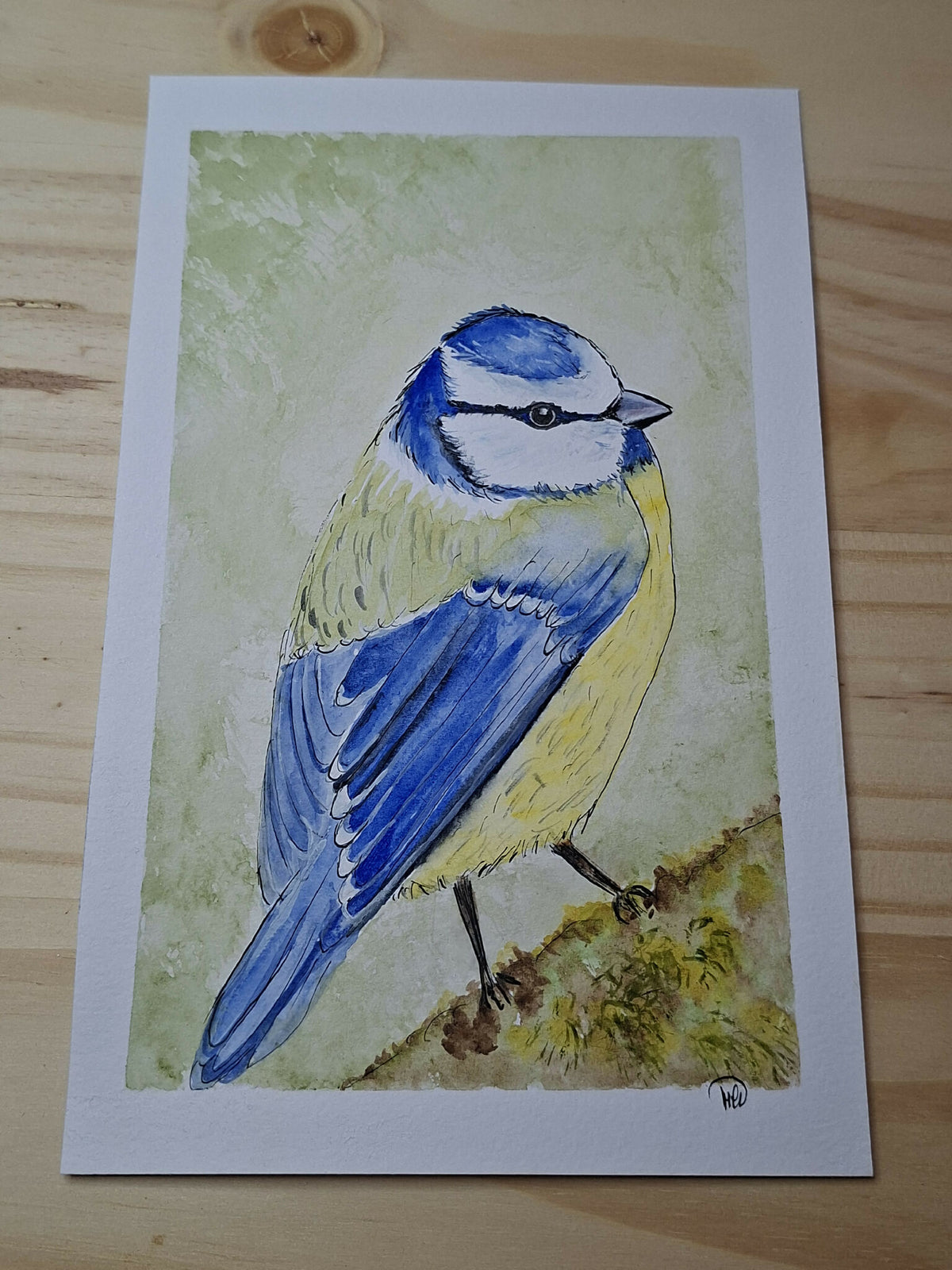 Aquarelle oiseaux
