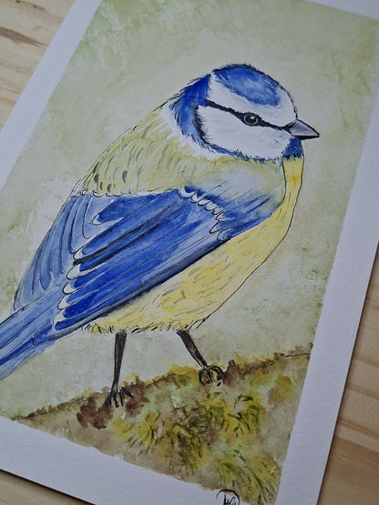 Aquarelle oiseaux