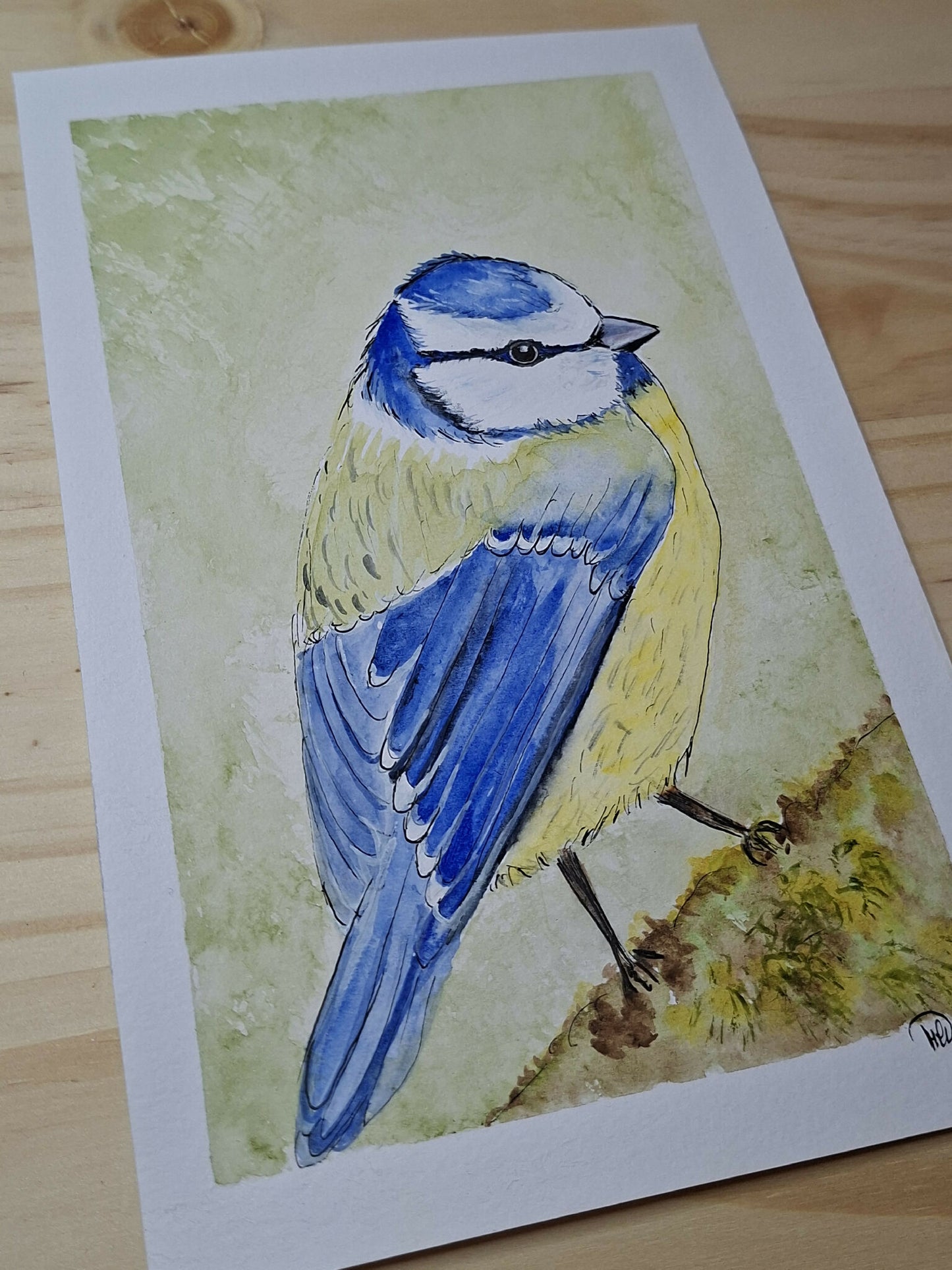 Aquarelle oiseaux