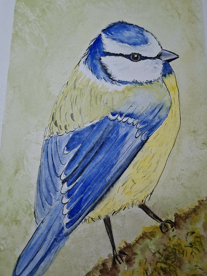 Aquarelle oiseaux