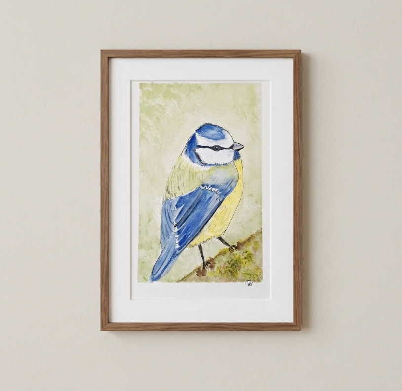 Aquarelle oiseaux