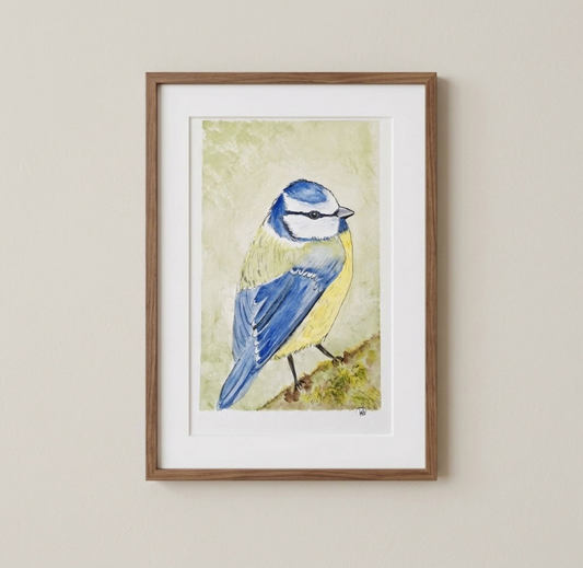 Aquarelle oiseaux