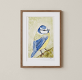 Aquarelle oiseaux