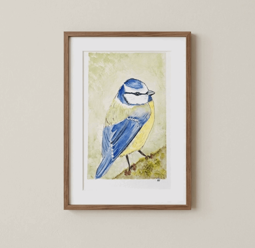 Aquarelle oiseaux