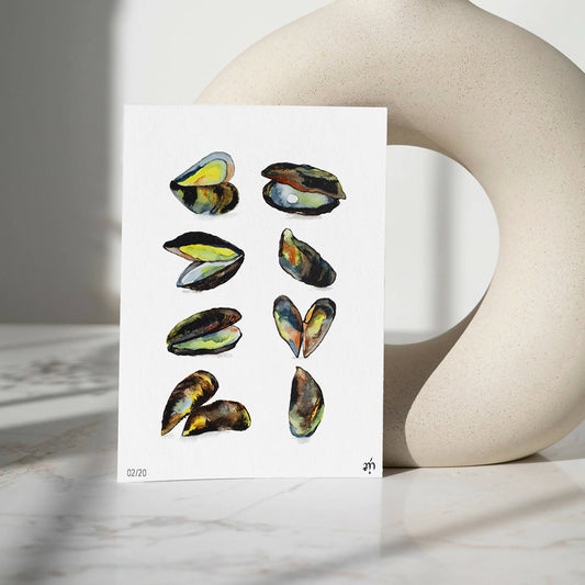 Reproduction watercolor illustration mussels #04