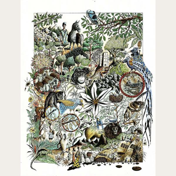 Affiche illustrée de bestiaire éthiopien 50x65 cm, animaux noirs et bleus, plantes et ornements.