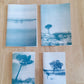 carnet cyanotype fanette bruel