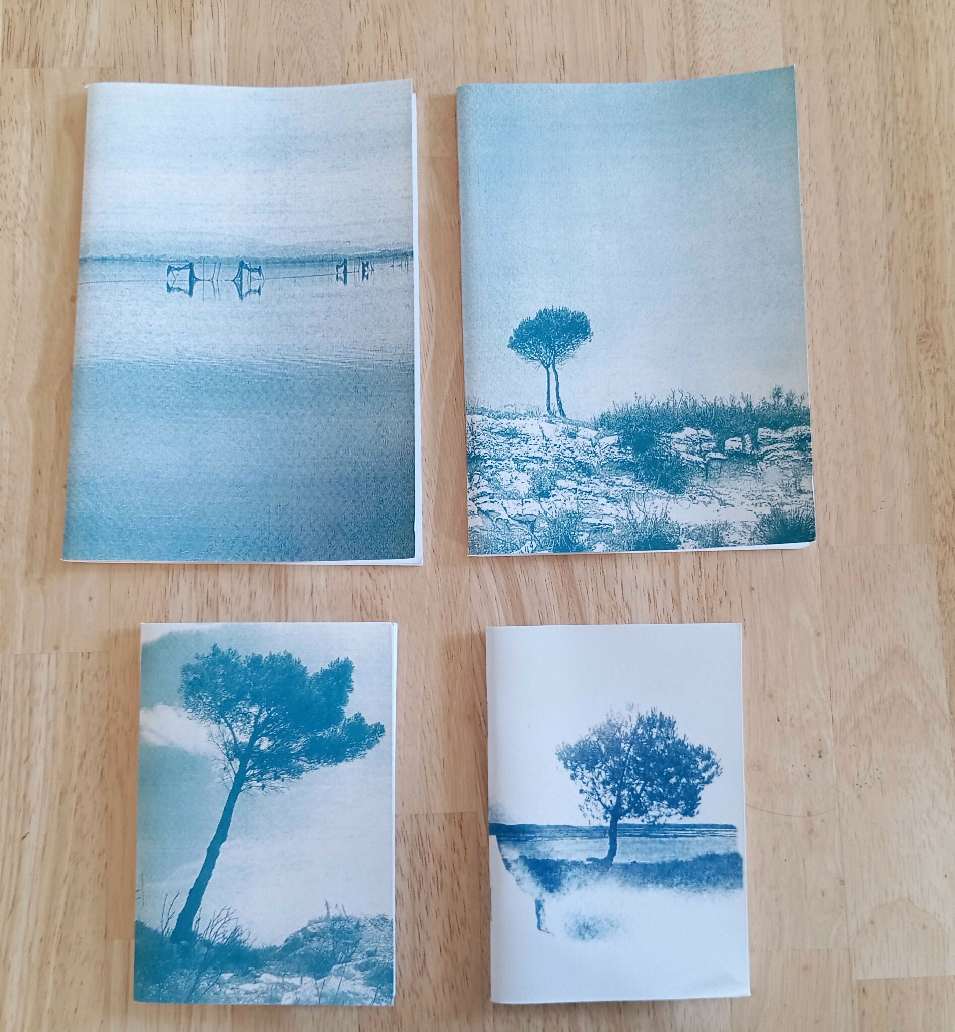 carnet cyanotype fanette bruel