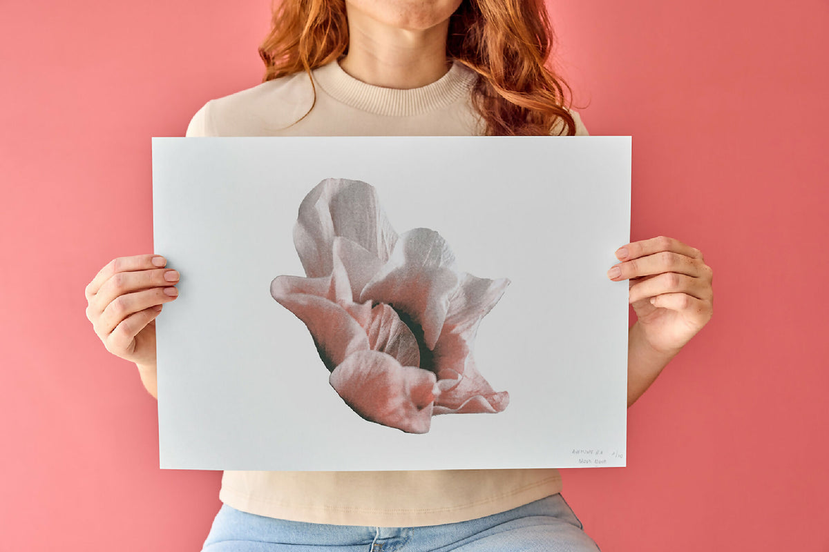 Affiche d’anémone riso rose et grise tenue devant buste, format A3