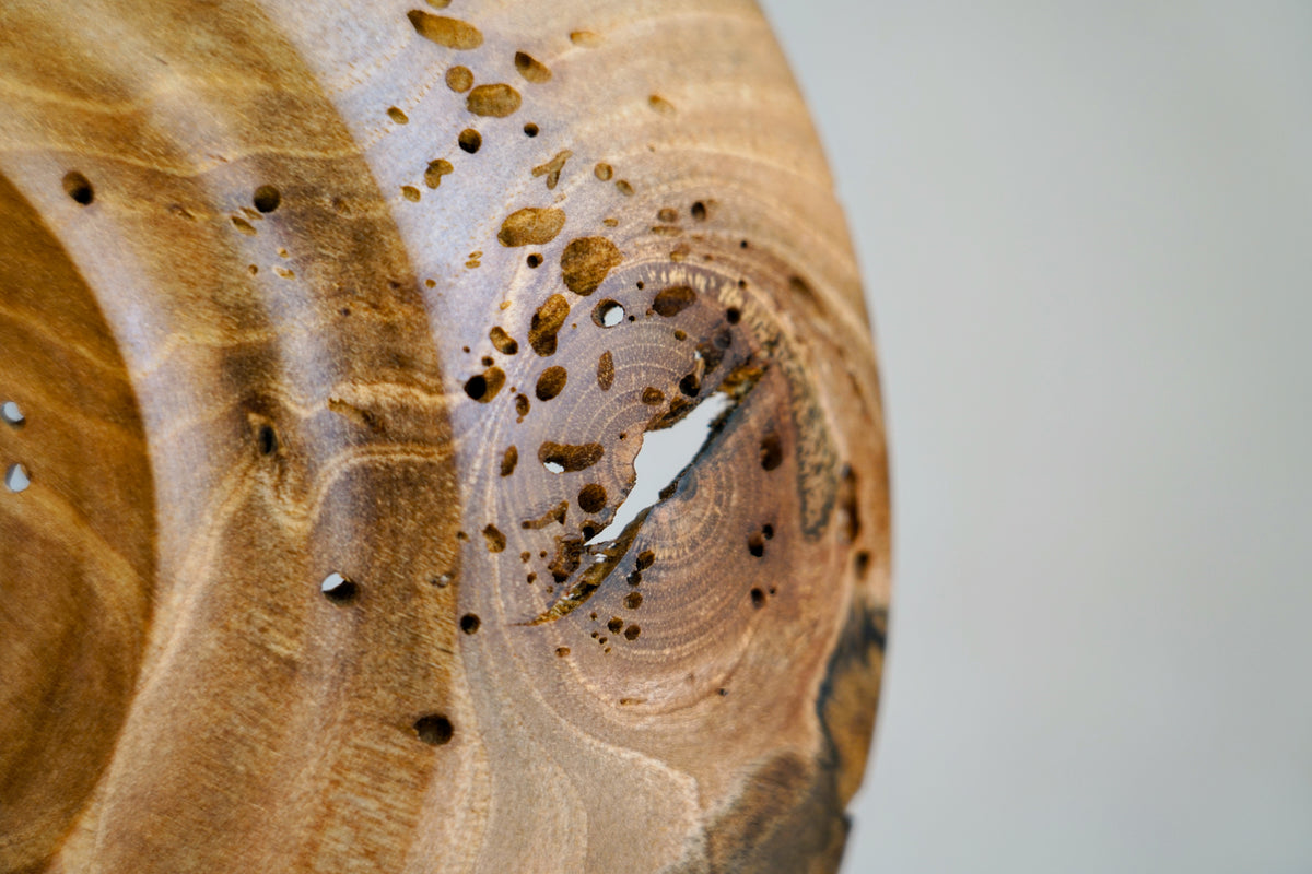 Sculpture - Nut-Burst
