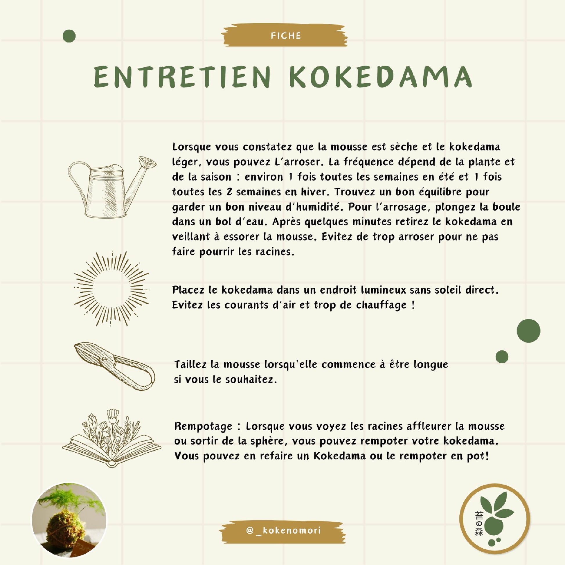 kokedama art traditionnel japonais artisanat local français plante verte