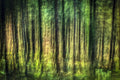 Tableau encadré : forêt vert vif, troncs verticaux, visuel lumineux.