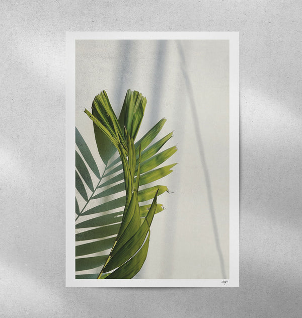 Affiche avec feuilles de palmier vertes sur fond clair, encadrée