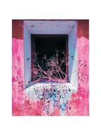 Impression encadrée : fenêtre ouverte, murs roses, branches fines et projections bleues.