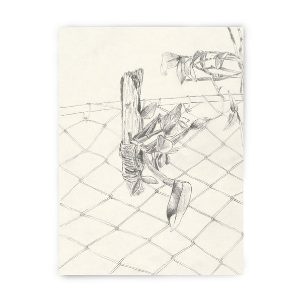 Tirage d’art encadré : orchidée dessinée au trait sur treillis, monochrome, signé et numéroté.